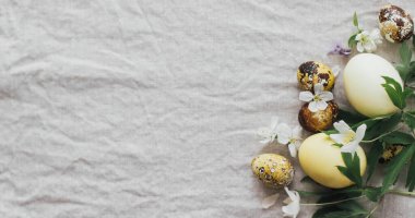 Paskalya yumurtaları ve bahar çiçekleri kırsal keten arka planda, düzlük ve metin için yer var. Modern paskalya ve bıldırcın yumurtaları doğal boya ve bahar çiçekleri. Estetik bayrak