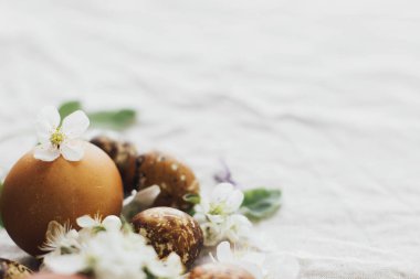 Paskalya yumurtaları, bahar çiçekleri ve yumuşak ışıkta yumuşak keten arka planda yumuşak taç yaprakları. Mesaj için yer var. Doğal boya ve bahar çiçekli estetik paskalya yumurtaları, ekolojik doğal tatil.