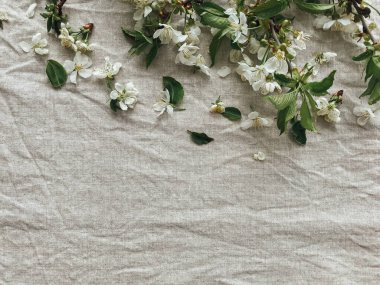 Kırsal keten kumaşta bahar çiçekleri. Kiraz çiçekleri, şakayık çiçekleri, keten kumaş üzerinde çiçekler ve taç yaprakları, yazı için yeri olan üst manzara. Merhaba bahar ve mutlu paskalyalar! Estetik basit resim