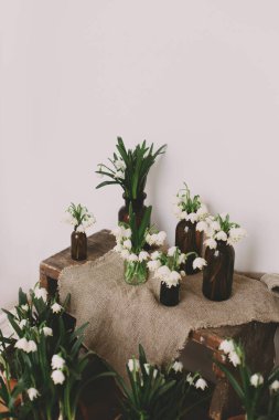 Eski cam şişelerde bahar beyaz çiçekleri, kırsal keten kumaş kumaş üzerinde ve odada ahşap. Kırsal yaşam. Merhaba bahar. Bahçıvanlık ve botanik konsepti. İlk çiçekler ilkbahar kar tanesi