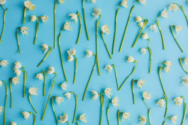 Mavi kağıt üzerinde bahar çiçekleri yatıyordu. Şık bir tebrik kartı, çiçek desenli. Merhaba bahar ve mutlu kadınlar günü konsepti. Mavi arka planda beyaz kar taneleri çiçek açar. Dünya günü