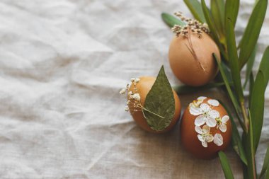 Kuru çiçeklerle süslenmiş zarif Paskalya yumurtaları ve yeşil dallı kırsal keten peçeteye taç yaprakları. Mutlu Paskalya tebrik kartları. Mesaj için yer var. Yumurtaların yaratıcı doğal çevre dostu dekorasyonu