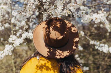 Şapkalı şık bir kadın güneşli bahar gününde çiçek açan kiraz dallarına bakıyor. Sakin bir an. Sarı ceketli, beyaz çiçeklerle sarılıp kırsal bölgeleri keşfeden şık bir kadın.