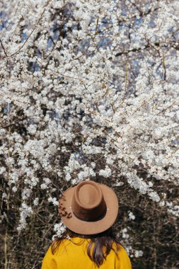 Şapkalı şık bir kadın güneşli bahar gününde çiçek açan kiraz dallarına bakıyor. Sakin bir an. Sarı ceketli, beyaz çiçeklerle sarılıp kırsal bölgeleri keşfeden şık bir kadın.