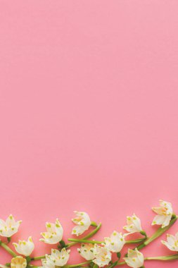 Çiçekler pembe kağıdın üzerinde yatıyordu. Stil çiçekli tebrik kartı, mesaj için yer var. Merhaba ilkbahar, beyaz kar taneleri pembe arka planda çiçekler. Mutlu kadınlar günü ve anneler günü selamlar.