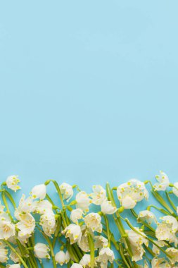 Bahar çiçekleri mavi kağıt üzerinde uzanır. Stil çiçekli tebrik kartı, mesaj için yer var. Merhaba bahar ve Dünya Günü konsepti. Mavi arka planda beyaz kar taneleri çiçek açıyor.