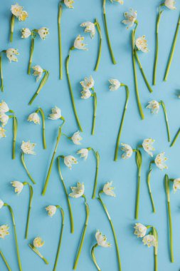 Mavi kağıt üzerinde bahar çiçekleri yatıyordu. Dünya günü ve ekolojik kavram. Merhaba bahar. Mavi arka planda beyaz kar taneleri çiçek açar. Şık bir tebrik kartı, çiçek desenli..
