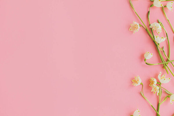 Spring flowers border flat lay on pink paper. Stylish floral greeting card with space for text. White spring snowflakes flowers on pink background. Happy Womens day and Mothers day greetings