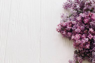 Yumuşak ışıkta beyaz ahşap zemin üzerine yumuşak leylak çiçekleri kapanır, yazı için yer vardır. Anneler günün ve kadınlar günü konseptin kutlu olsun. Merhaba bahar. Mor leylak yaprakları.