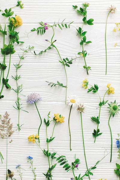 Vackra Vilda Blommor Stjälkar Och Blommande Kronblad Platt Låg Komposition — Stockfoto