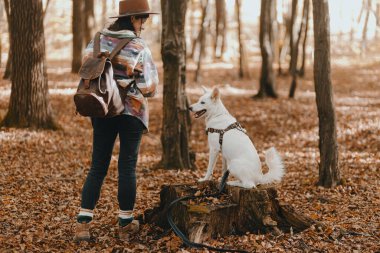 Güneşli sonbahar ormanlarında sevimli beyaz köpekleri eğiten şık bir kadın. Şirin İsviçreli çoban köpeği yavrusu muamelesiyle öğreniyor. Sonbahar ormanında sırt çantalı hippi bir kadın köpeğiyle oynuyor. Metin için boşluk
