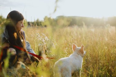 Yaz çayırında çimenlerde oturan sevimli beyaz köpek yavrusu ve sahibinin sıcak güneşi. Şirin pofuduk köpek yavrusu İsviçre çobanı parkta dinleniyor. Evlat edinme konsepti, sadık dostum.