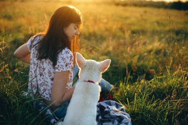 Sıcak gün batımı ışığında yaz çayırında sevimli beyaz bir köpeğe sarılan mutlu bir kadın. Sıradan genç bir bayan, sevimli bir çoban köpeğiyle rahatlıyor. Mutluluk. Evcil hayvanla yaz tatili