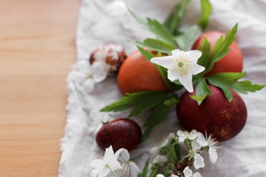Çağdaş paskalya yumurtaları, bahar çiçekleri ve ahşap masa üzerindeki çarşaf örtüsü. Mutlu Paskalyalar! Gri tekstil üzerinde kırmızı renkte doğal boyanmış yumurtalar ve çiçek açan şakayıklar. Metin için boşluk
