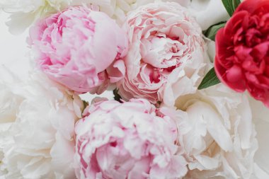 Güzel bir şakayık buketi. Yaklaş. Pembe ve beyaz şakayık çiçekleri, çiçek tebrik kartı ve duvar kağıdı. Anneler Günün kutlu olsun. Düğün buketi