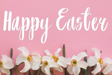 Mutlu Paskalya tebrik kartları. Güzel beyaz nergislerin üzerine el yazısıyla Mutlu Paskalya yazıları. Çiçekler şık pembe arka planda, düz yerde. Güzel kartpostallar, mevsimler selamlar