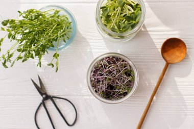 Taze kırmızı lahana, kırmızı turp, ayçiçeği, cam kavanozlarda yeşil bezelye filizi ve şık kaşık, beyaz ahşap üzerinde makas, üst manzara. Evde mikroçim yetiştiriyorum. Farklı mikro-yeşil hasat