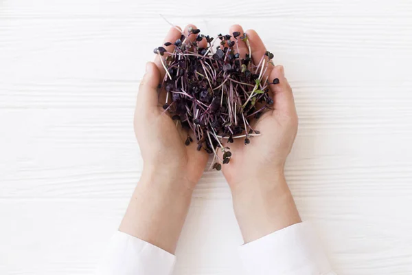 Fresh Red Radish Sprouts Hands White Wood Top View Radish — Stock Photo, Image