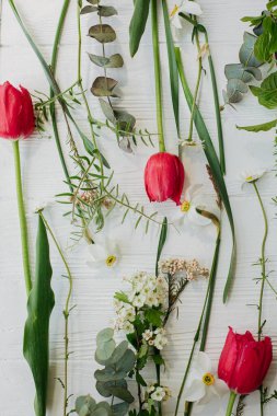 Güzel kırmızı laleler, nergisler, okaliptüs çiçekleri kırsal beyaz ahşap arka planda düzlük. Anneler Günün kutlu olsun. Mutlu Kadınlar Günü. Merhaba bahar çiçekli tebrik kartı.