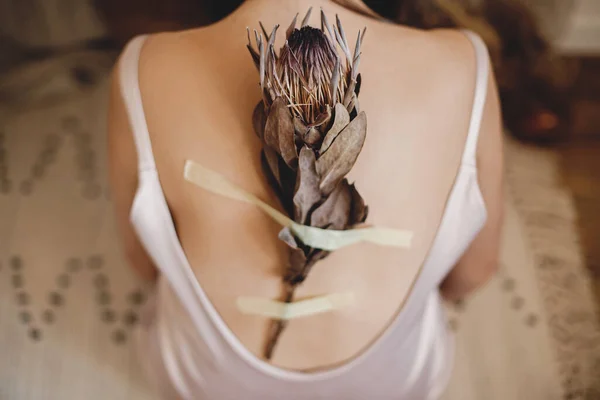 Dry protea flower on duct-taped on female skin on back. Beautiful sensual woman posing with protea flower and scotch tape on back in bohemian style room. Unusual art photo. Healing and recovering