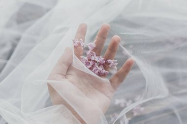 Yumuşak tül kumaşın altında yumuşak, ahşap arka planda güzel leylak yaprakları tutan el, fotokopi alanı olan üst manzara. Yumuşak bahar estetiği