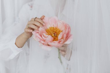 Yumuşak beyaz tülün arkasında elinde şakayık tutan zarif bir kadın. Genç bayan nazikçe büyük pembe şakayık çiçeğini tutuyor. Şehvetli, yumuşak bir görüntü. Bahar estetiği. Kadınlar Günü