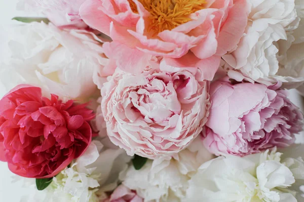 Mooie Stijlvolle Pioenrozen Boeket Close Roze Witte Pioenroos Bloemen Bloemen — Stockfoto