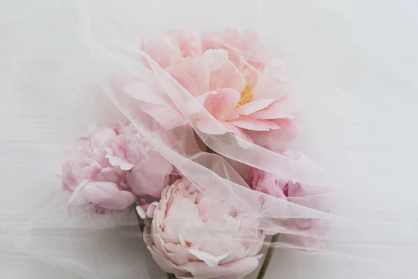 Lovely peony flowers under soft tulle fabric on white wooden background, top view with copy space. Beautiful spring aesthetics. Pink peonies bouquet. Soft creative floral greeting card.