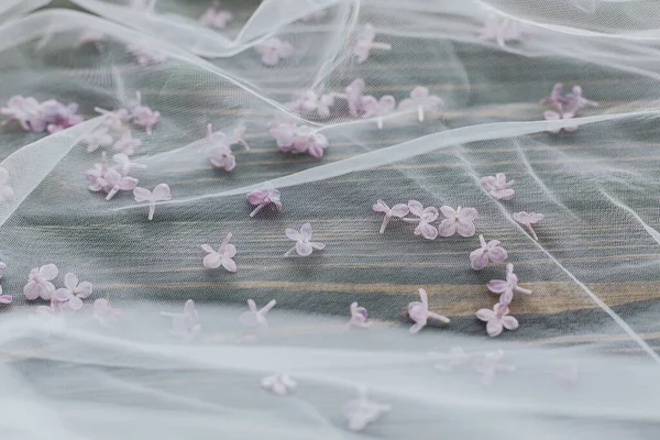 Schöne Fliederfarbene Blütenblätter Auf Weichem Tüll Stoff Auf Dunklem Holzhintergrund — Stockfoto