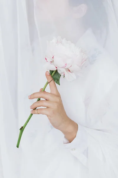 Mujer Hermosa Sensual Detrás Tela Blanca Suave Con Peonía Rosa — Foto de Stock