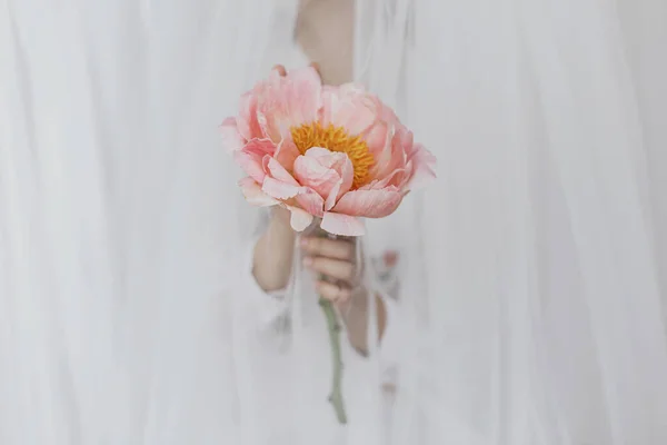 Sensuale Bella Donna Dietro Morbido Velo Con Peonia Rosa Mano — Foto Stock