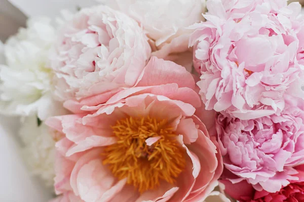 Schöne Stilvolle Pfingstrosen Bouquet Blütenblätter Aus Nächster Nähe Happy Mothers — Stockfoto
