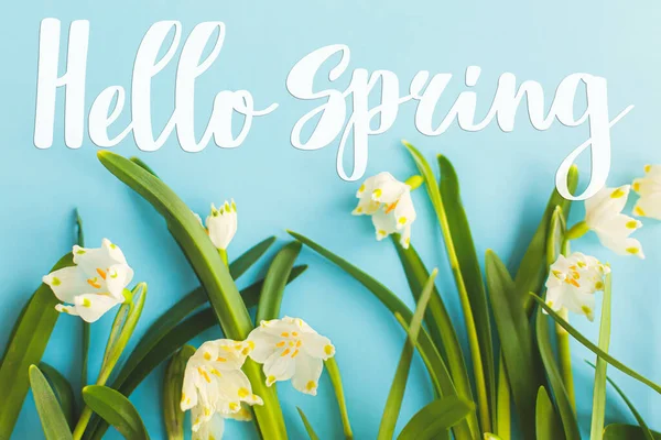 Hello spring. Hello spring text and white spring snowflakes flowers growing on blue paper. Handwritten lettering. Springtime. Stylish floral greeting card