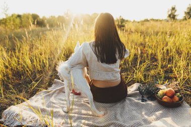 Sıcak gün batımı ışığında sarı battaniyenin üzerinde İsviçreli çoban köpeğiyle rahatlayan genç boho kadın. Yaz çayırında köpeğiyle oturan şık bir kadın. Yaz tatili ve evcil hayvanla piknik