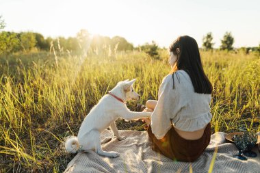 Sıcak gün batımı ışığında sarı battaniyenin üzerinde İsviçreli çoban köpeğiyle rahatlayan genç boho kadın. Yaz çayırında köpeğiyle oturan şık bir kadın. Yaz tatili ve evcil hayvanla piknik