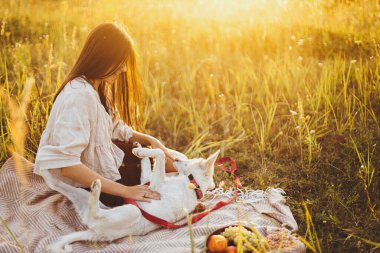 Beyaz köpeğiyle yaz otlağında sıcak güneşli bir ışıkta battaniyeyle oynayan şık, mutlu bir kadın. Yaz tatili ve evcil hayvanla piknik. Genç boho dişisi gün batımında İsviçreli çoban köpeğiyle rahatlıyor.