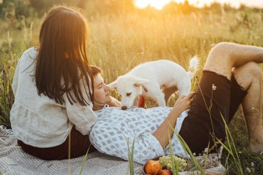 Beyaz köpekli şık bir çift yaz otlağında çimlerin arasında sıcak güneşli bir ışıkta battaniyede dinleniyor. Yaz tatili ve piknik. Genç bir aile, İsviçre çoban köpeğiyle günbatımının tadını çıkarıyor.