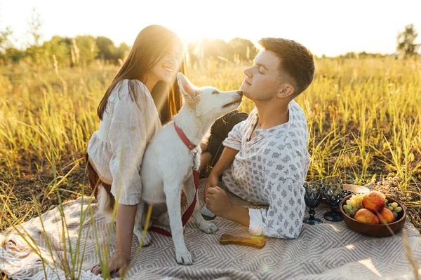 Спокійна Щаслива Пара Відпочиває Білим Собакою Штукатурці Серед Трави Літні — стокове фото