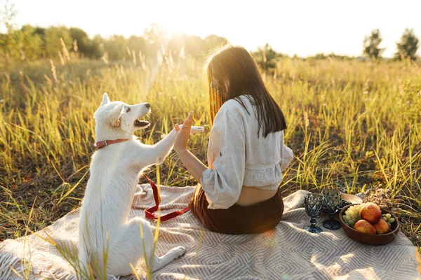 Wanita Bergaya Bermain Dengan Anjingnya Atas Selimut Bawah Sinar Matahari — Stok Foto