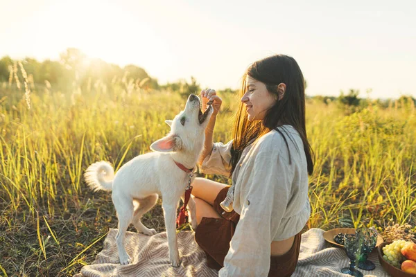Стильна Жінка Дає Частування Своїй Білій Собаці Ковдрі Тепле Сонячне — стокове фото