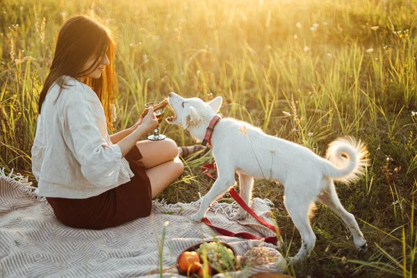 Mujer Con Estilo Que Tratamiento Hueso Perro Blanco Manta Luz — Foto de Stock