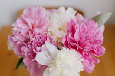 Odanın güneşli ışığında güzel bir şakayık buketi. Pembe ve beyaz şakayık çiçekleri kapanıyor. Anneler Günün kutlu olsun. Mutlu kadınlar günü. Çiçek aranjmanı