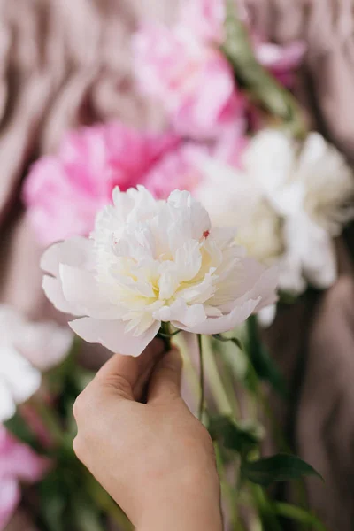 Hand Holding Beautiful Peony Background Rustic Linen Dress Soft Sunny — Stock Photo, Image