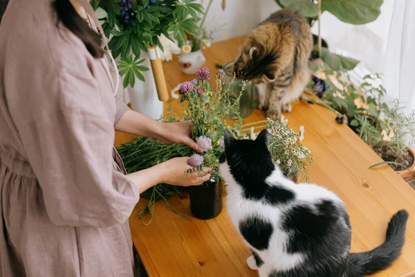 Mulher Elegante Vestido Linho Organizando Flores Dois Gatos Brincando Cheirando — Fotografia de Stock