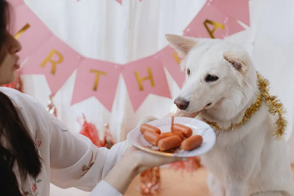 Joyeux Anniversaire Chien Jeune Femme Célébrant Avec Gâteau Saucisse Bougie — Photo