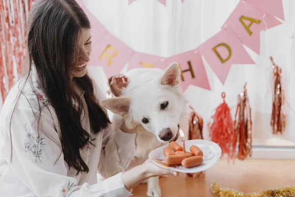 Une Fête Anniversaire Chien Joyeux Jeune Femme Chien Affamé Célébrant — Photo