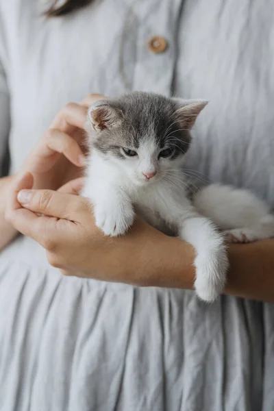 Mulher Vestido Rústico Segurando Gatinho Bonito Nas Mãos Retrato Adorável — Fotografia de Stock