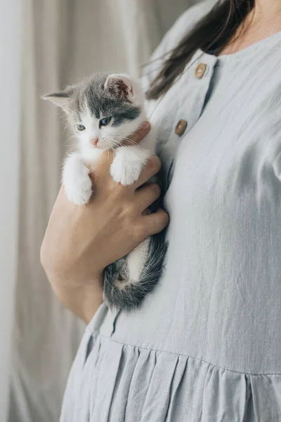 穿着乡村服装的女人手里拿着可爱的小猫 可爱而好奇的灰色和白色猫咪的画像手牵着手坐在房间里 收养概念 甜蜜的一刻 — 图库照片