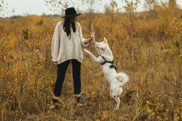 Stylische Hipster Frau Trainiert Niedlichen Weißen Hund Auf Hintergrund Von — Stockfoto