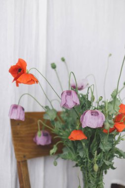 Güzel kırmızı ve mor haşhaş buketi odasındaki kırsal tekstil arka planındaki ahşap koltukta. Kırsal alandaki kır çiçeklerini topluyorum. Vazoda haşhaş ve afyon çiçekleri